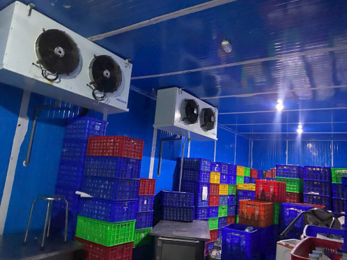 HỆ THỐNG BẢO QUẢN LẠNH 250m3