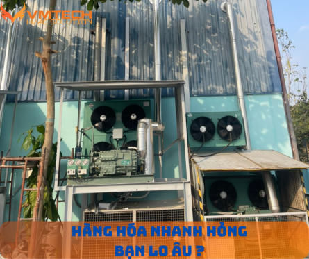 HÀNG HÓA NHANH HỎNG, KHÁCH HÀNG LO ÂU – GIẢI PHÁP NÀO CHO DOANH NGHIỆP?
