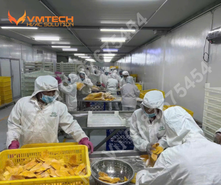 SẤY XOÀI NÊN ĐẦU TƯ HỆ THỐNG SẤY NÀO?