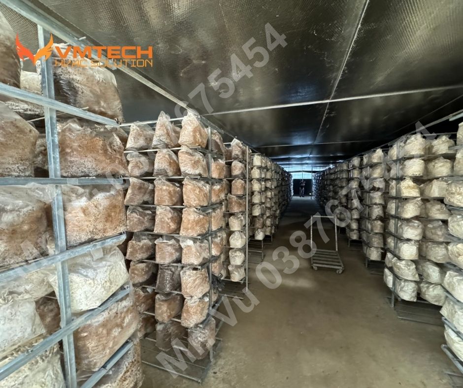 HÌNH 1: PHÔI NẤM ĐƯỢC NGƯỜI DÂN ĐEM VỀ NUÔI TRỒNG