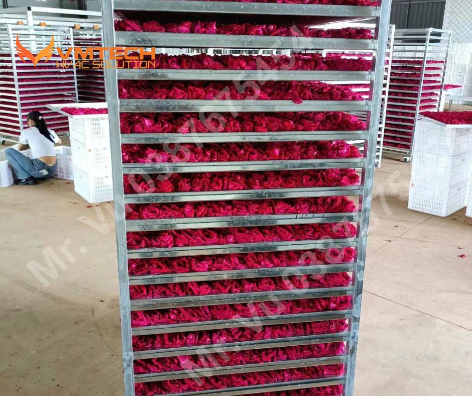 HÌNH 3: HOA HỒNG SẤY BẰNG HỆ THỐNG BƠM NHIỆT
