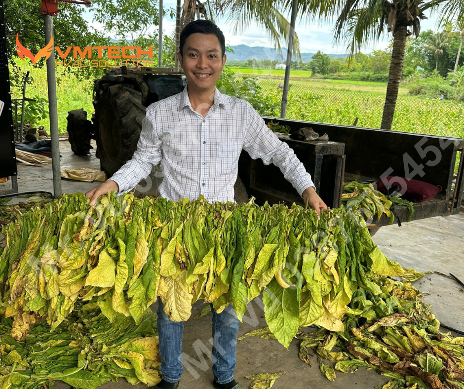 HÌNH 1: GHÉ THĂM NƠI SẢN XUẤT THUỐC LÁ CỦA BÀ CON SẤY THUỐC