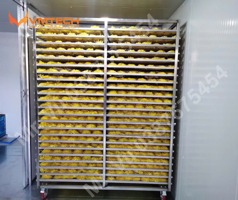 HÌNH 1: HỆ THỐNG SẤY BƠM NHIỆT CHO HOA CÚC CỦA CÔNG TY VMTECH