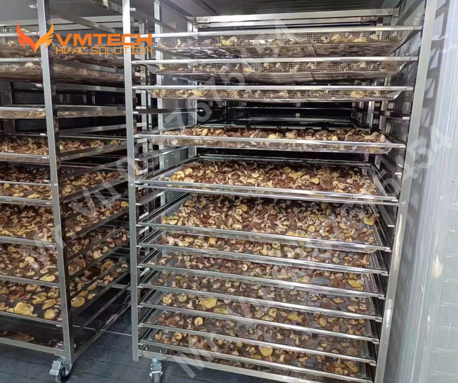 HÌNH 2: HÌNH ẢNH ĐANG SẤY NÔNG SẢN CỦA KHÁCH HÀNG VMTECH