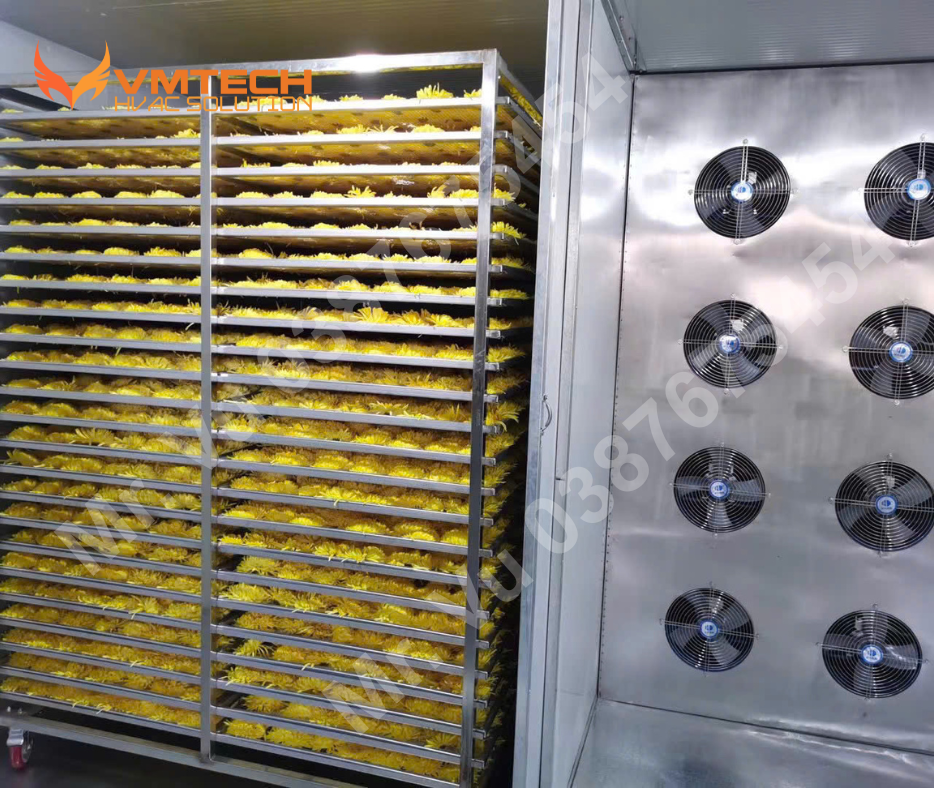 HÌNH 1: HỆ THỐNG SẤY BƠM NHIỆT CHO HOA CÚC CỦA CÔNG TY VMTECH