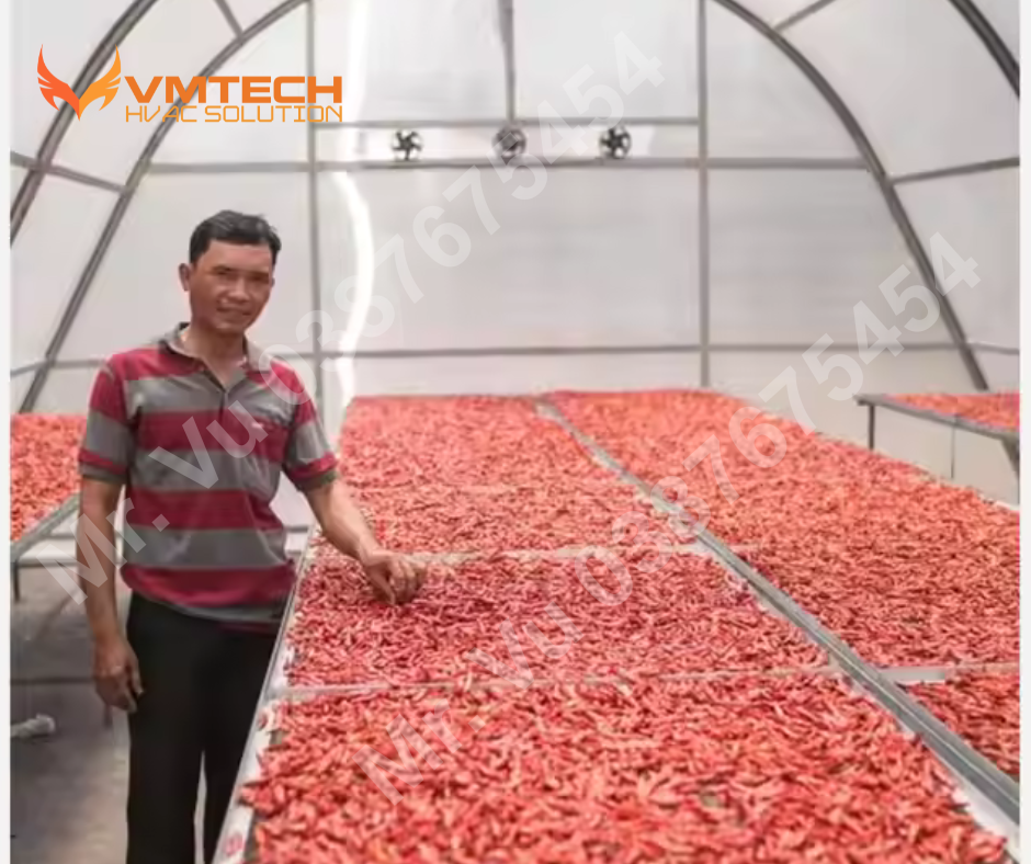 HÌNH 1: HỆ THỐNG SẤY BẰNG TẤM HẤP THU NĂNG LƯỢNG MẶT TRỜI CHO ỚT CỦA VMTECH